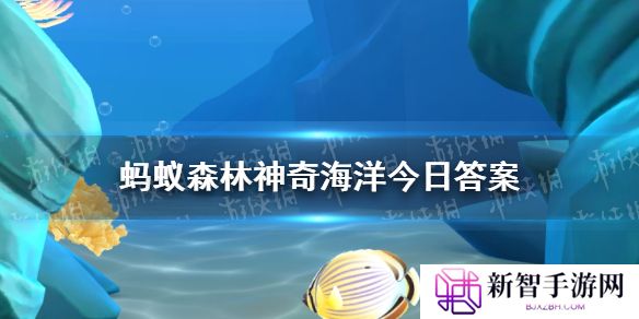神奇海洋今日答案 蚂蚁森林神奇海洋答案最新