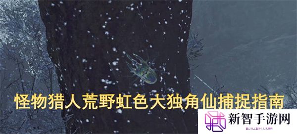 怪物猎人荒野虹色大独角仙捕捉指南