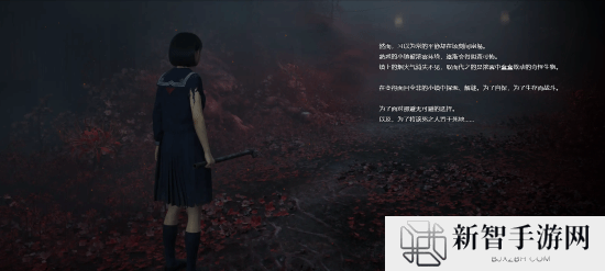 本站
