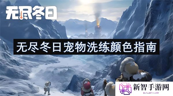 无尽冬日宠物洗练颜色指南