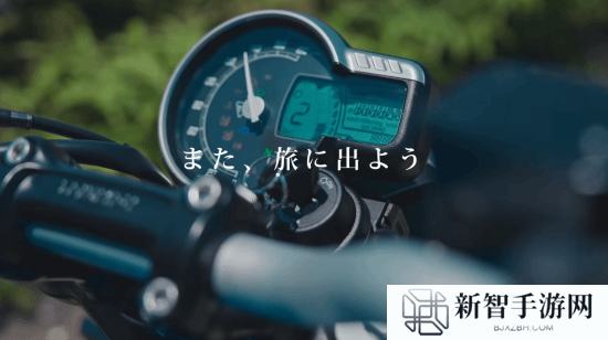 本站