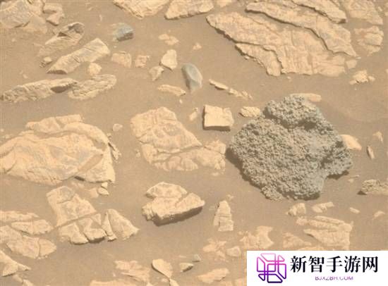 美国火星车发现诡异怪石：似有东西破壳而出