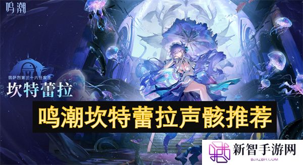 鸣潮坎特蕾拉声骸推荐
