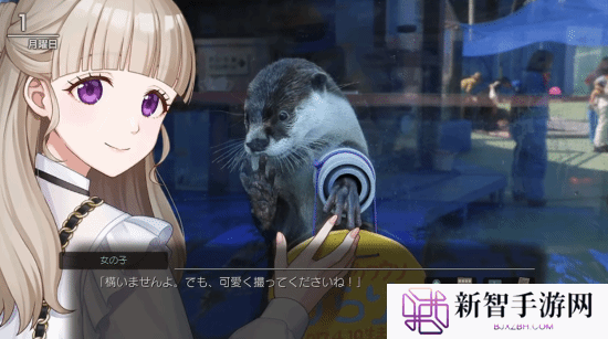 本站