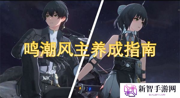 鸣潮风主养成指南