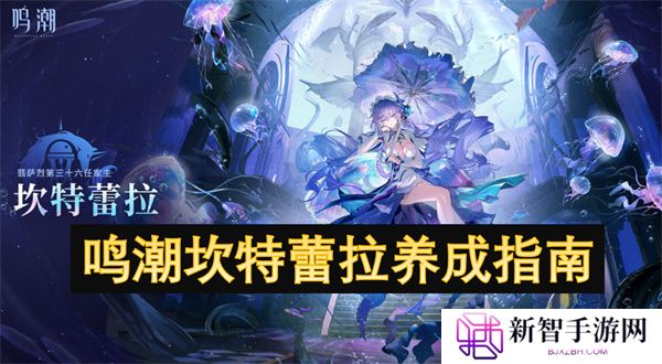 鸣潮坎特蕾拉养成指南